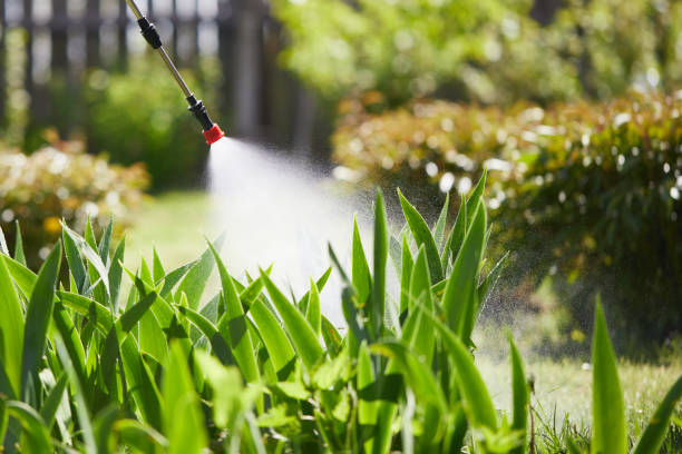 24/7 Emergency Mosquito Control experts in Rosemont, CA