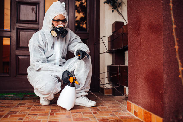 Reliable Mosquito Control contractor in Rosemont, CA by Show Me Pest Control